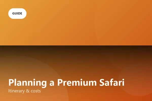 Planning a Premium Safari